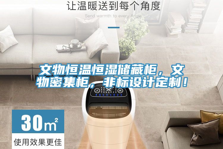 文物恒溫恒濕儲藏柜，文物密集柜，非標設計定制！
