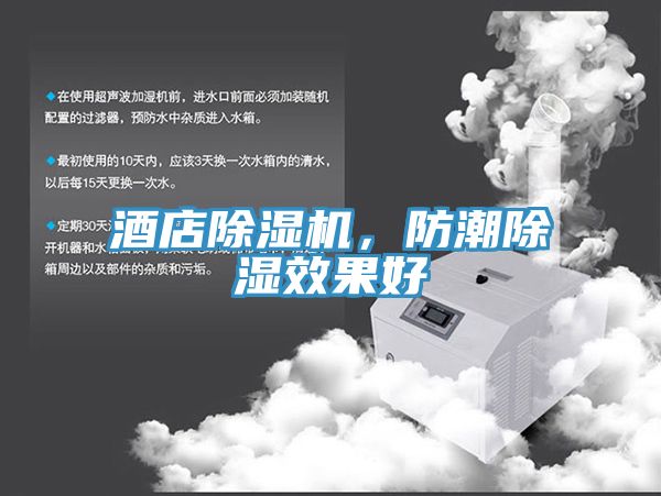 酒店除濕機(jī),防潮除濕效果好