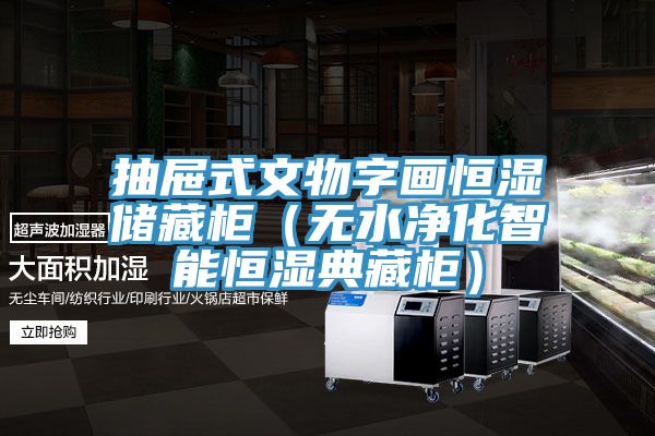 抽屜式文物字畫恒濕儲(chǔ)藏柜(無(wú)水凈化智能恒濕典藏柜)