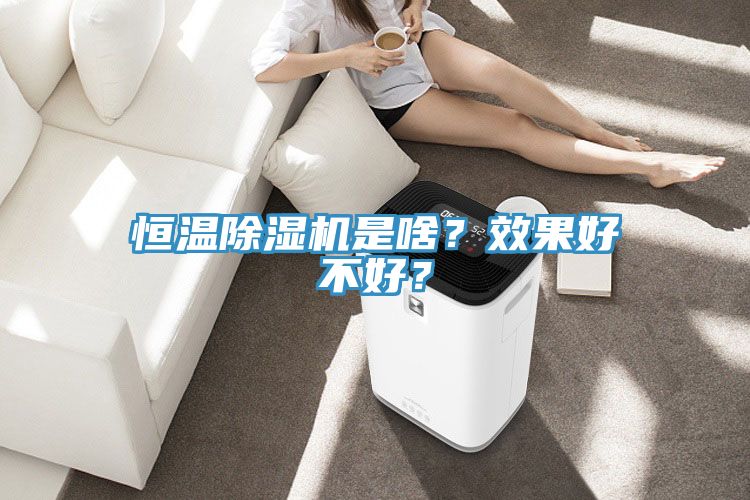恒溫除濕機是啥?效果好不好?