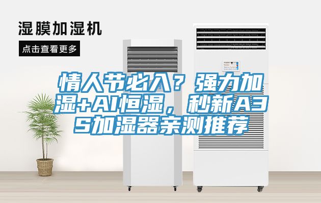 情人節必入?強力加濕+AI恒濕,秒新A3S加濕器親測推薦