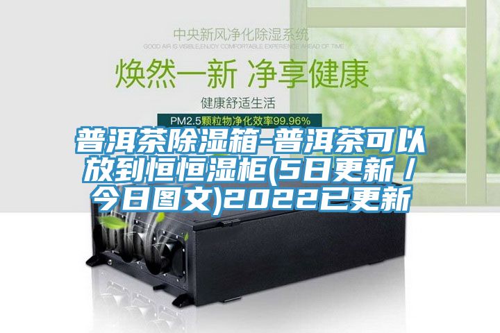 普洱茶除濕箱-普洱茶可以放到恒恒濕柜(5日更新/今日圖文)2022已更新