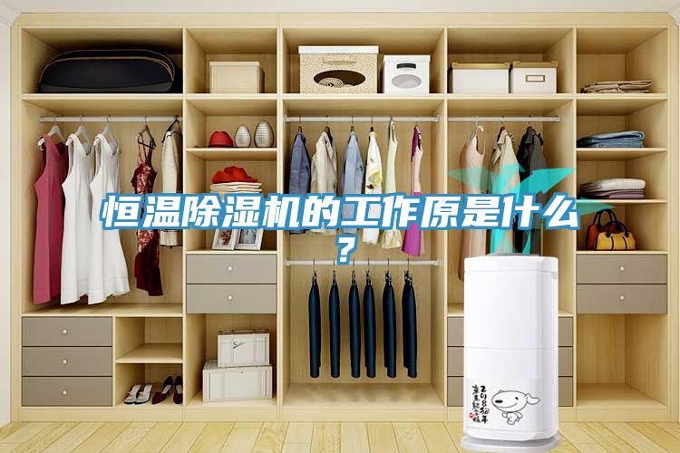 恒溫除濕機的工作原是什么?