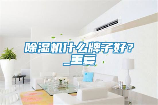 除濕機(jī)什么牌子好?_重復(fù)