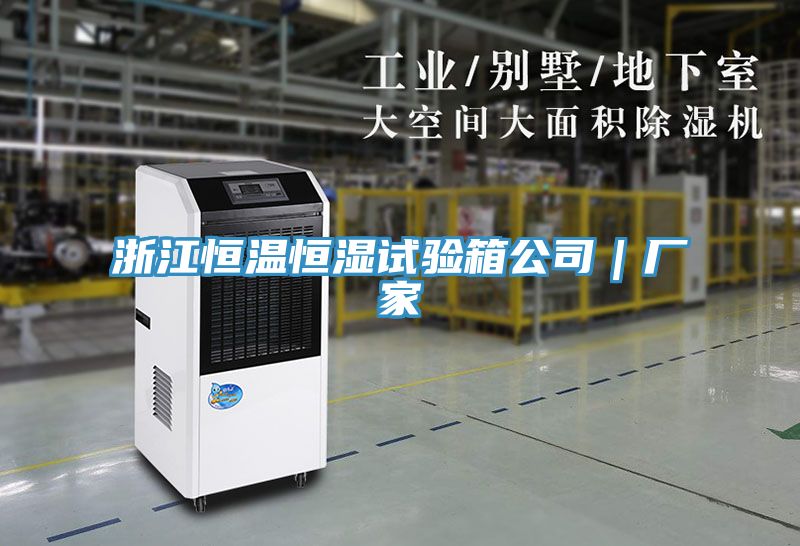 浙江恒溫恒濕試驗箱公司|廠家