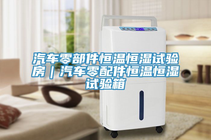 汽車零部件恒溫恒濕試驗房|汽車零配件恒溫恒濕試驗箱