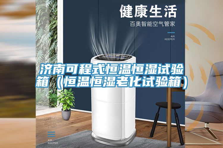 濟南可程式恒溫恒濕試驗箱(恒溫恒濕老化試驗箱)
