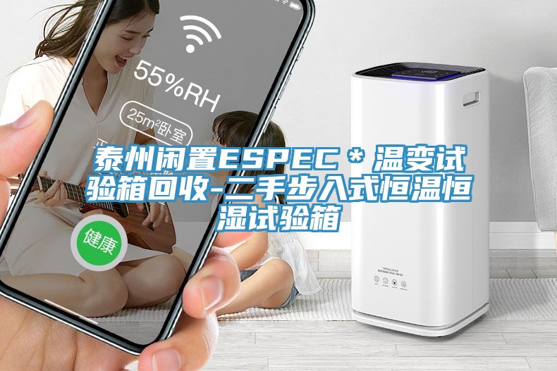 泰州閑置ESPEC*溫變?cè)囼?yàn)箱回收-二手步入式恒溫恒濕試驗(yàn)箱