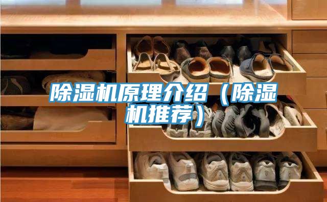 除濕機原理介紹(除濕機推薦)
