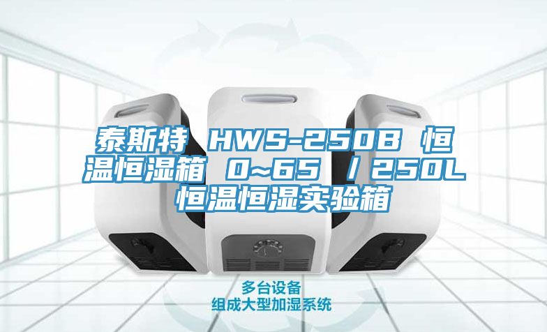 泰斯特 HWS-250B 恒溫恒濕箱 0~65℃/250L 恒溫恒濕實(shí)驗(yàn)箱