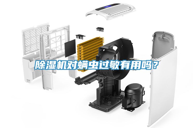 除濕機(jī)對(duì)螨蟲過(guò)敏有用嗎?