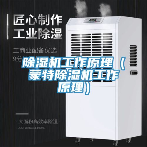 除濕機工作原理(蒙特除濕機工作原理)
