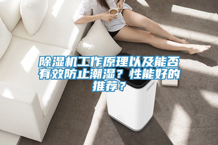 除濕機(jī)工作原理以及能否有效防止潮濕？性能好的推薦？