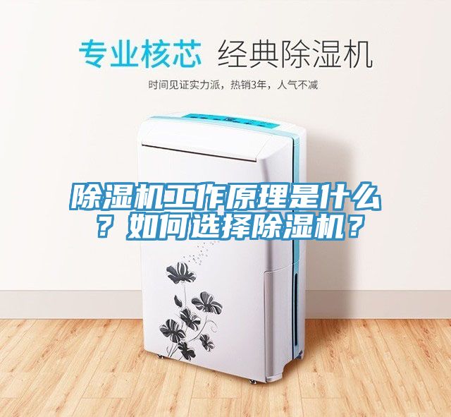 除濕機工作原理是什么?如何選擇除濕機?