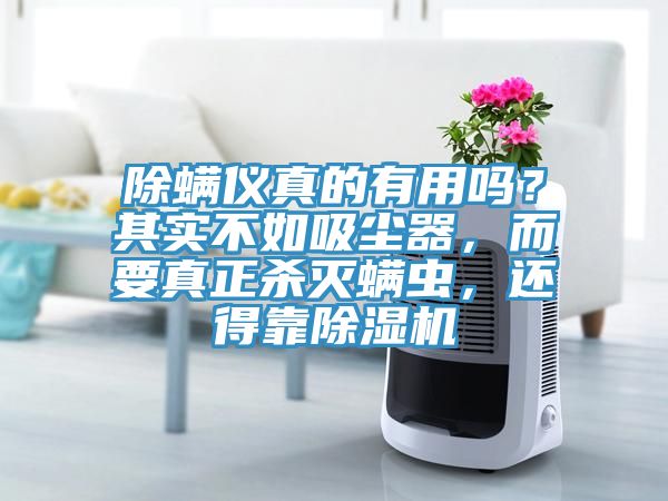 除螨儀真的有用嗎？其實不如吸塵器，而要真正殺滅螨蟲，還得靠除濕機