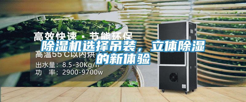 除濕機選擇吊裝，立體除濕的新體驗