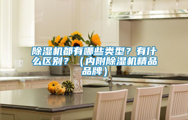 除濕機(jī)都有哪些類(lèi)型？有什么區(qū)別？（內(nèi)附除濕機(jī)精品品牌）