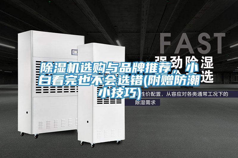 除濕機(jī)選購(gòu)與品牌推薦，小白看完也不會(huì)選錯(cuò)(附贈(zèng)防潮小技巧)